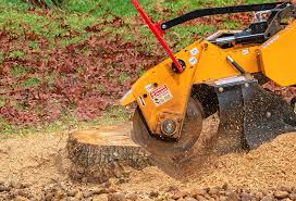 Best Firewood Processing and Delivery  in Gunter, TX